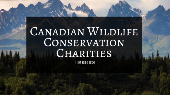 Canadian Wildlife Conservation Charities