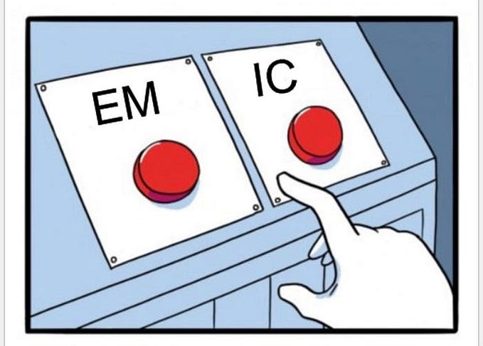 Individuel Contributeur ou Engineering Manager, Quelle voie choisir ?