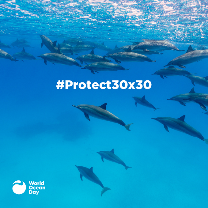 The wait is over for carbon pricing in shipping