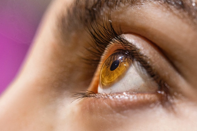 Brown Eyes Facts — What's so special about them? | by Specscart. | Medium