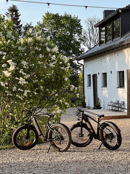 Full suspension commuter ebike outlet