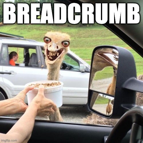 Understanding Breadcrumb Navigation