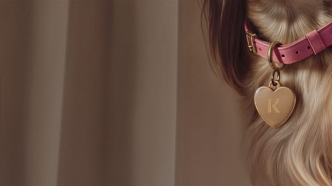 The fellowship of the forgotten