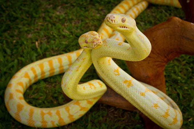 itertools.product() in Python