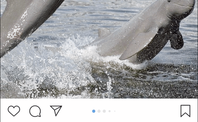 Recreating Instagram’s Page Control