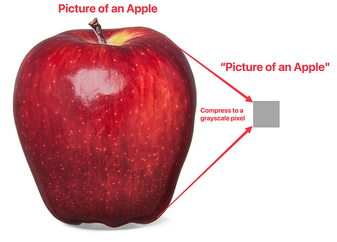 Heuristic Beings: Human Perception and Cognition
