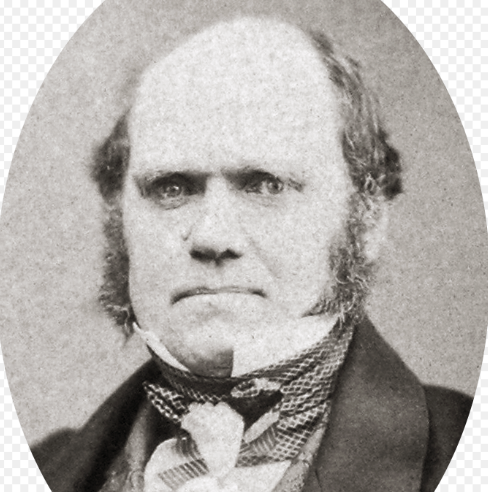 Darwin's Game - Wikipedia