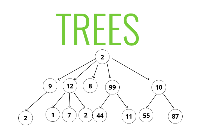 Data Structures Pt.5: “Trees”