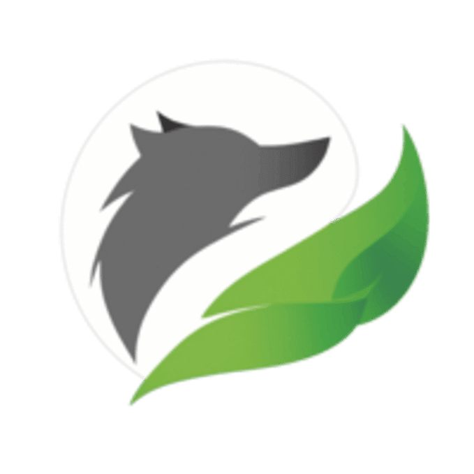 Auto-Generating AsyncAPI Documentation with SpringWolf