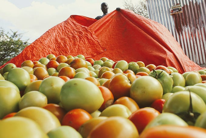 From One Greenhouse to a Flourishing Agri-business
