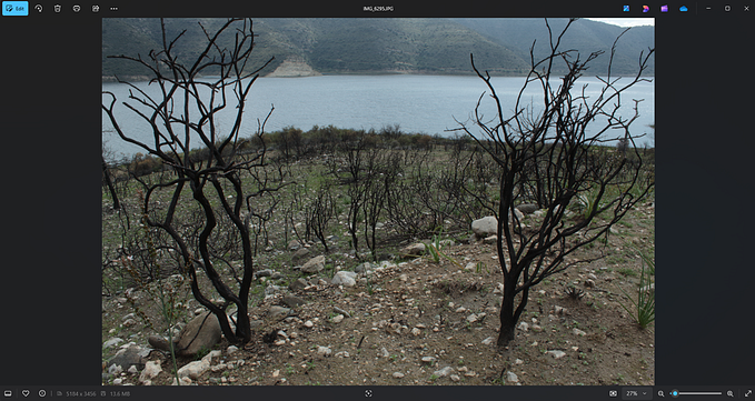 Personal Photo Library with Langchain, Ollama + Llava — Fully Local