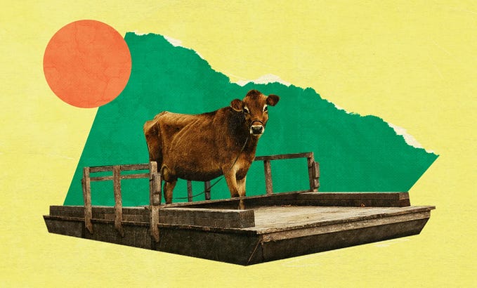 Taming Strings in Rust with Cow: The “Conditional Allocation Wizard”