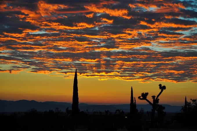 Desert dawn