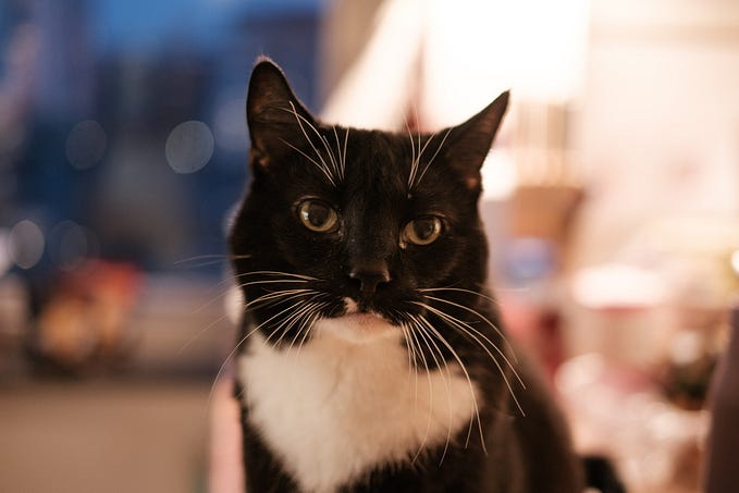 Initial Impressions: FujiFilm XF35mmF1.4 R in 2025