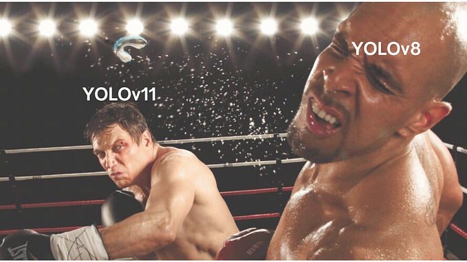 YOLOv8 vs YOLOv11: A Comparison