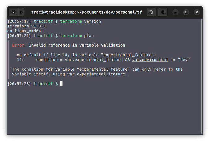 Terminal screen detailing the Terraform version (1.3.3) and displaying an error when trying to execute the plan command.