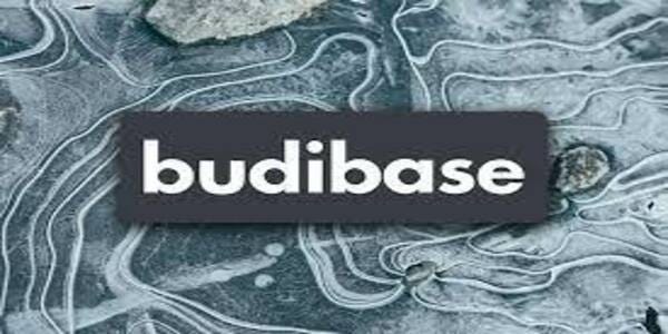 Budibase Dev Environment Setup