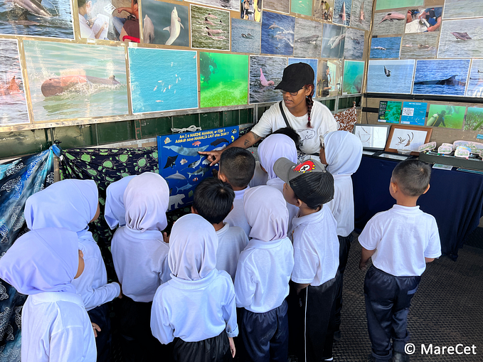 MareCet brings the ocean to you; the Whales On-The-Wheels mobile marine education nationwide tour!