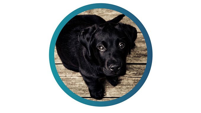 How to Design a Gradient Border with CSS