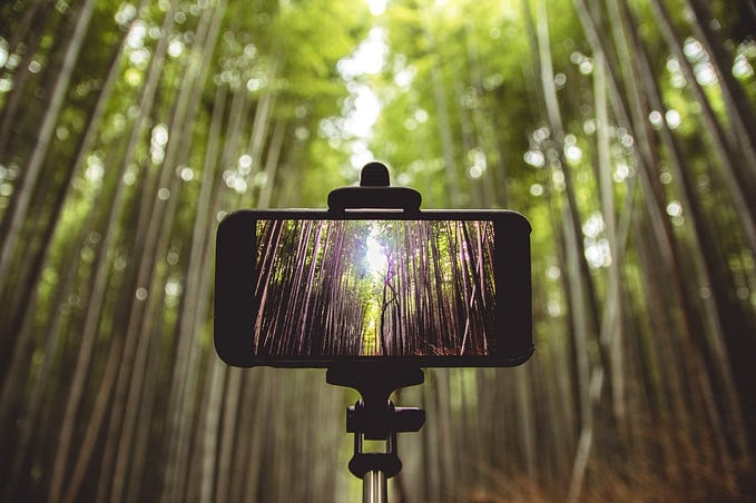 Unity and Cinemachine — Virtual Camera Body Options