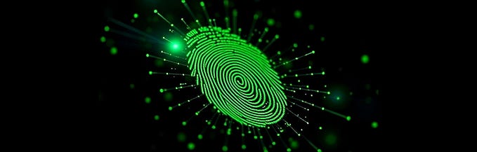 Understanding Quantum Fingerprints