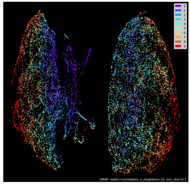 UMAP for Dimensionality Reduction: Visualization of Features to Understand Your Data Better