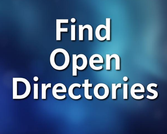 Find open directories in your bug bounty&pentesting targets.