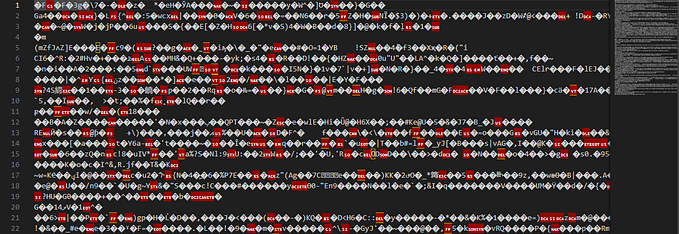Kashi CTF 2025 Reverse Engineering Writeup “Painfully Slow”