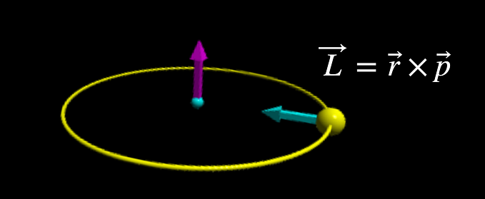 Physics Quiz: Do You Really Understand Angular Momentum?