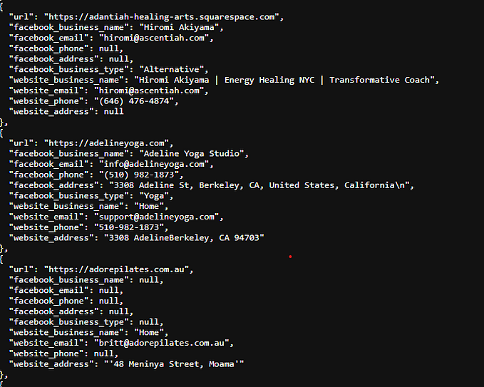 Building an Automated Lead Generation Tool with Python: A Web Scraping Journey