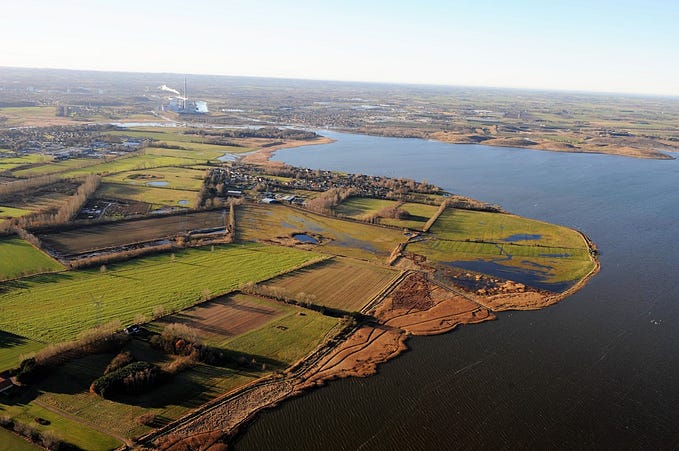 Combining interests through Nature-Based Solutions in Odense, Denmark