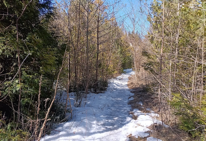 Snowflake external OAuth using Azure Entra