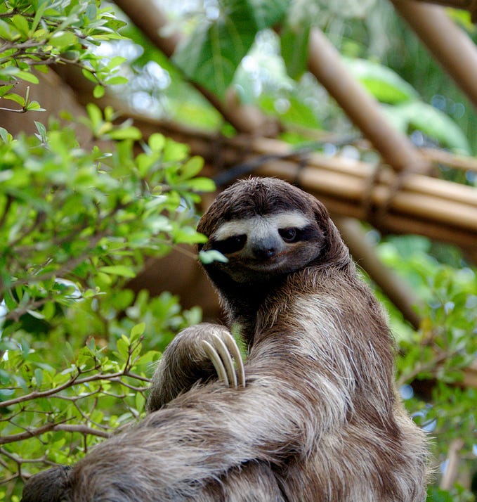 Serializing object methods using ES6 template strings and eval