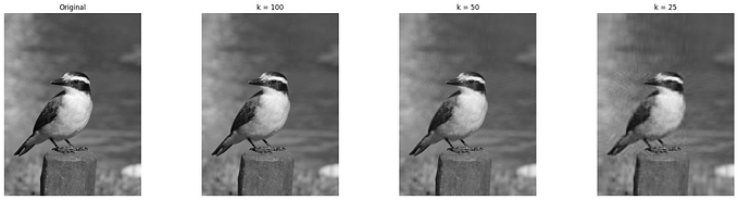 Singular Value Decomposition (SVD) in Data Science