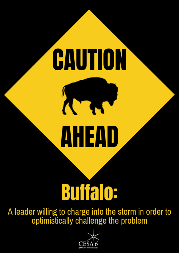 How Does One Stop a Charging Buffalo?