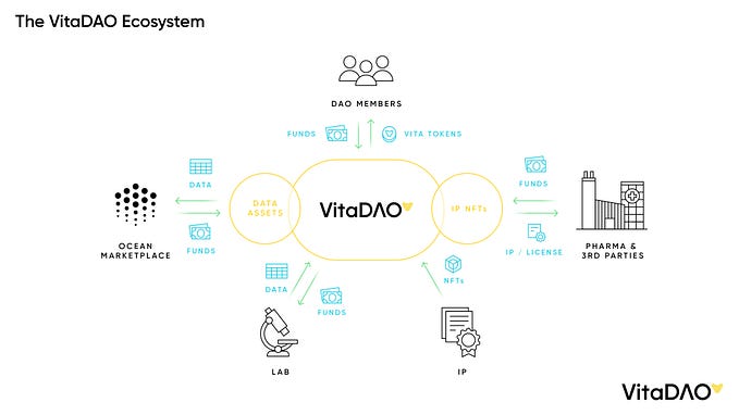 How VitaDAO Works