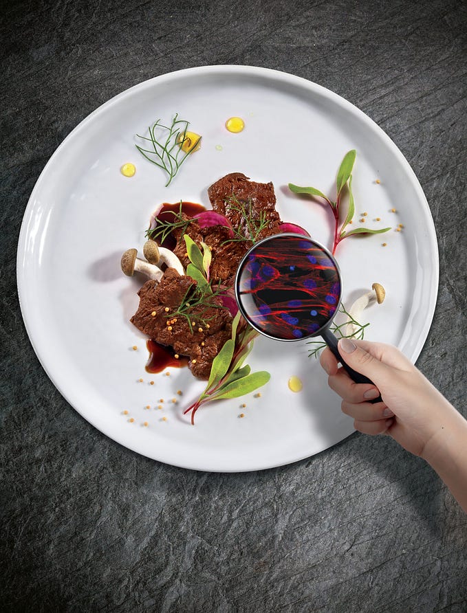 The science behind the world’s first cultivated steak — grown directly from cells