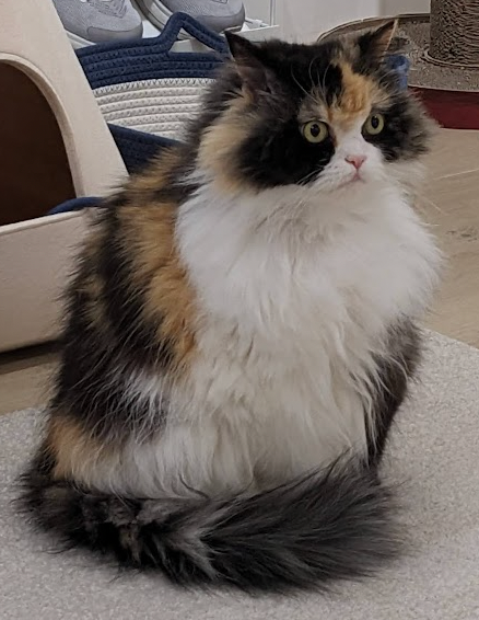 Evolution of RAG: Baseline RAG, GraphRAG, and KAG