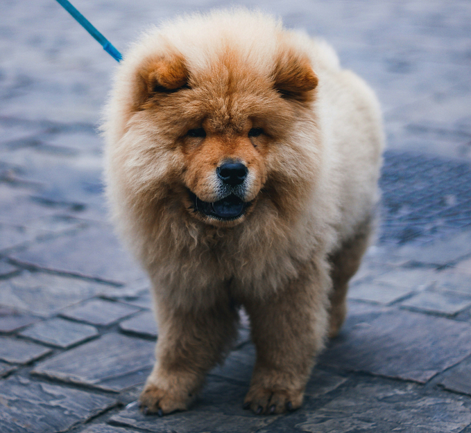 Why You Should Use TypeScript’s <> Angle Brackets and Generic Types