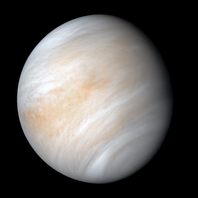 So You Think There’s Life On Venus?