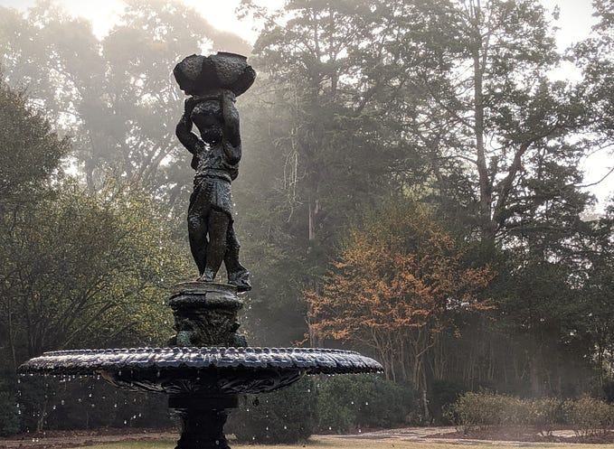 An Unusual Experiment In Southern Gothic Reading