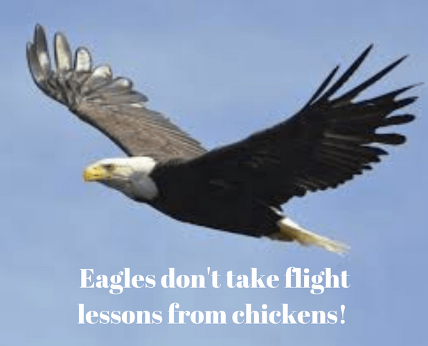 Eagles don’t take flight lessons from chickens!