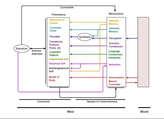 A Diagram of the Mind