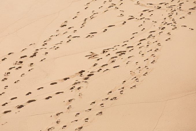 many sets of footprints in sand