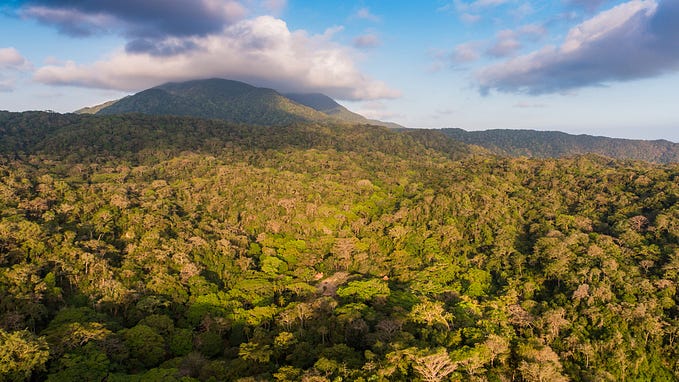 5 ways to protect biodiversity
