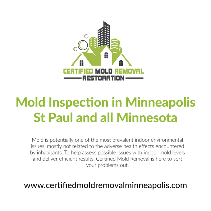 Mold in the Bathroom - Certified Mold Removal Restoration - Medium