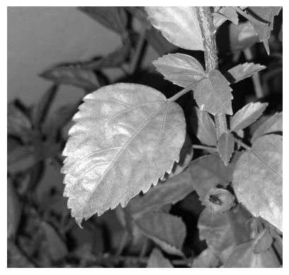 Image Feature Extraction using Python - Part I