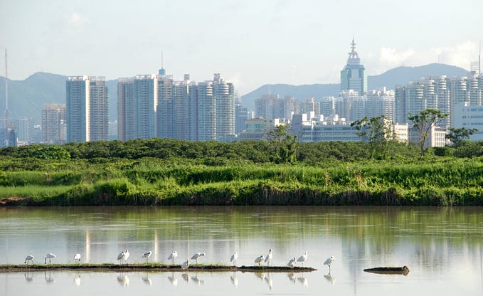 The world’s cities rely on the world’s wetlands.