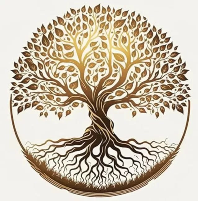 A Theology of Health