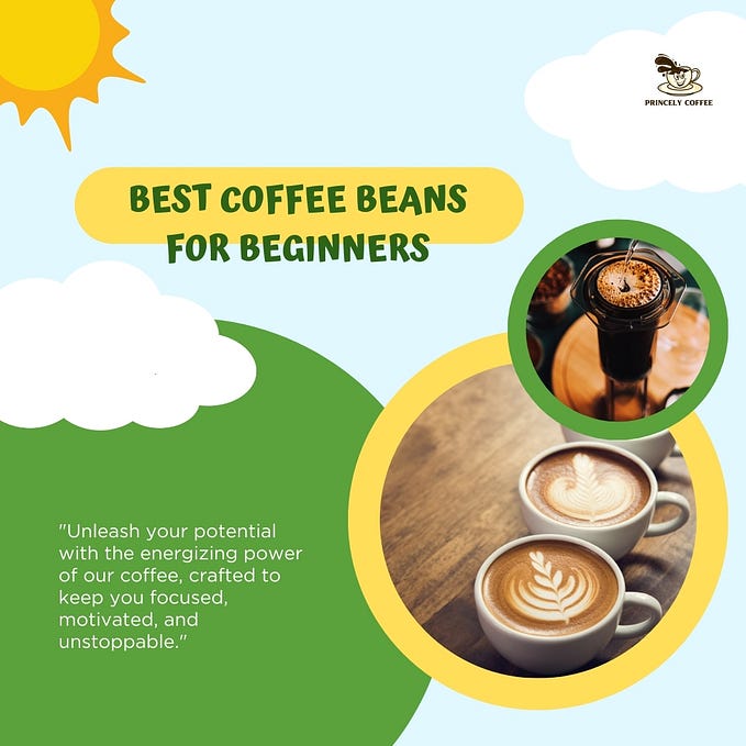 Best coffee beans for beginners